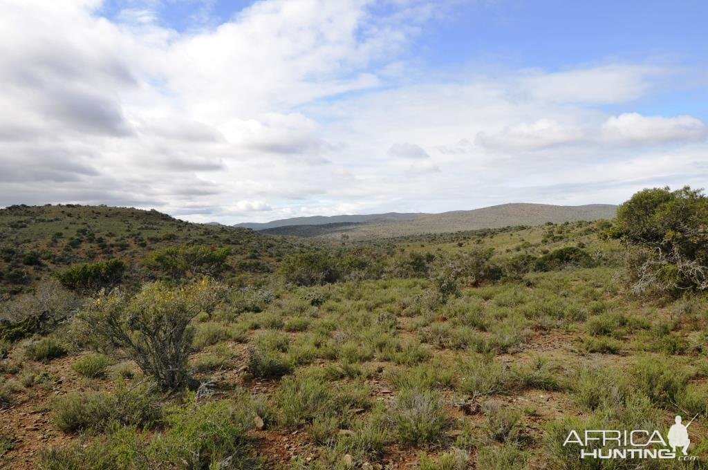 Karoo South Africa