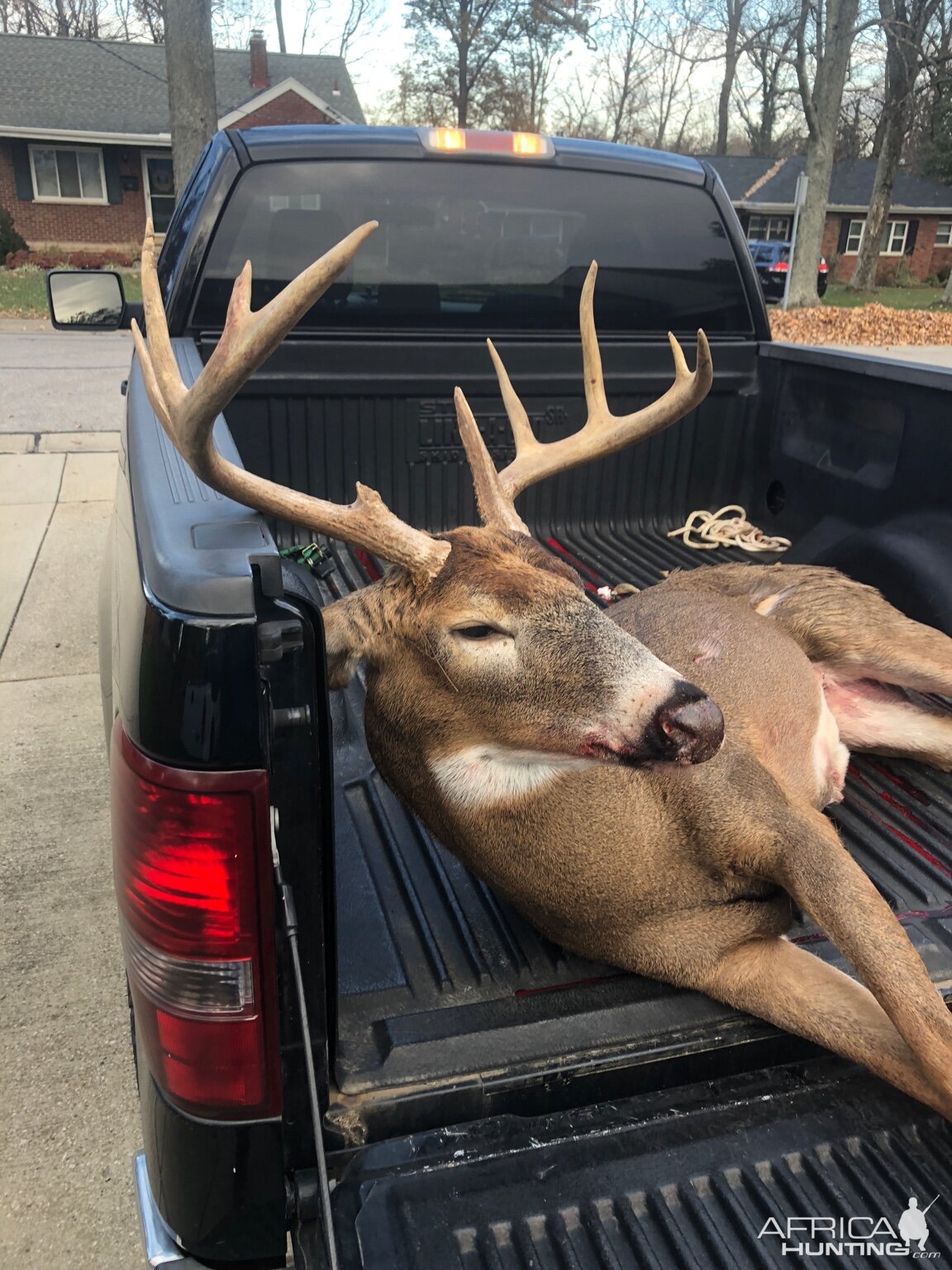 Kentucky USA Hunt Whitetail Deer