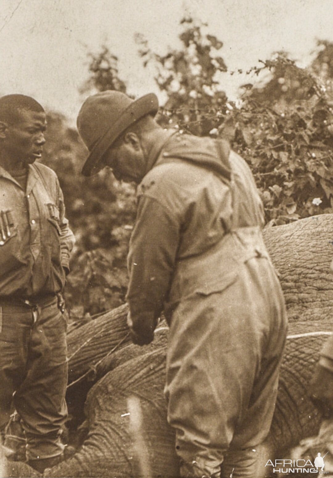 Kenya Hunting Elephant