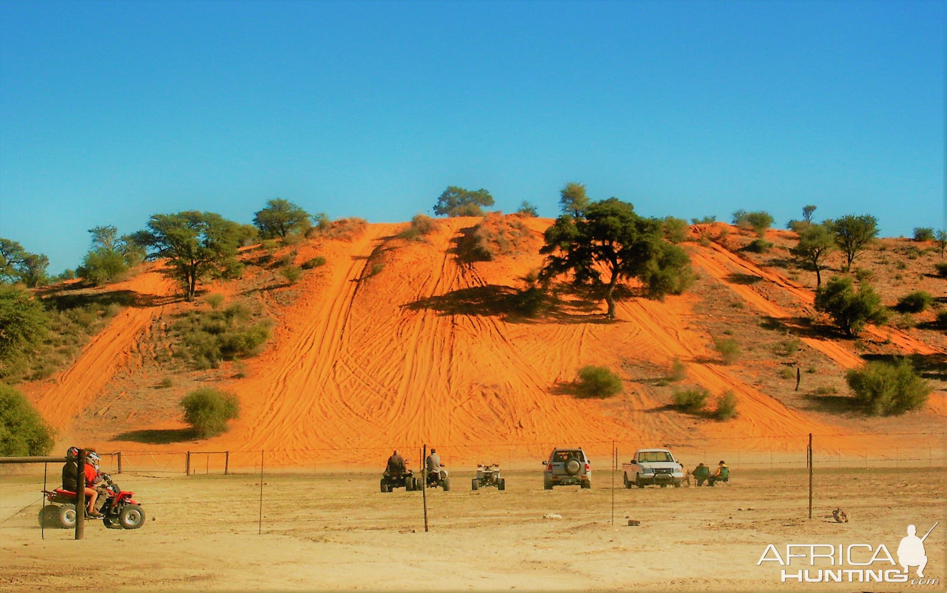 Kgalagadi National Park South Africa