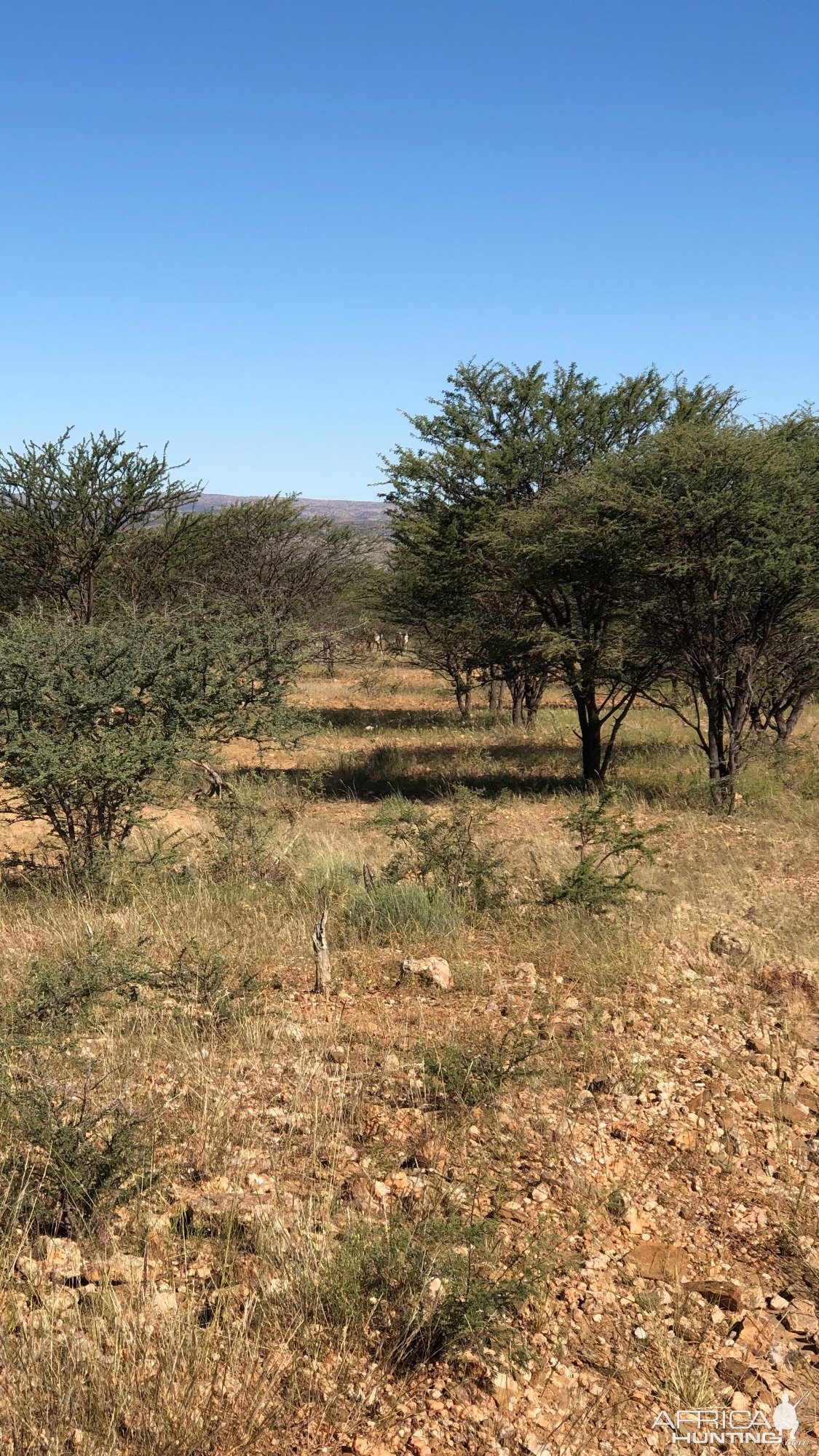 Khomas Hochland Namibia