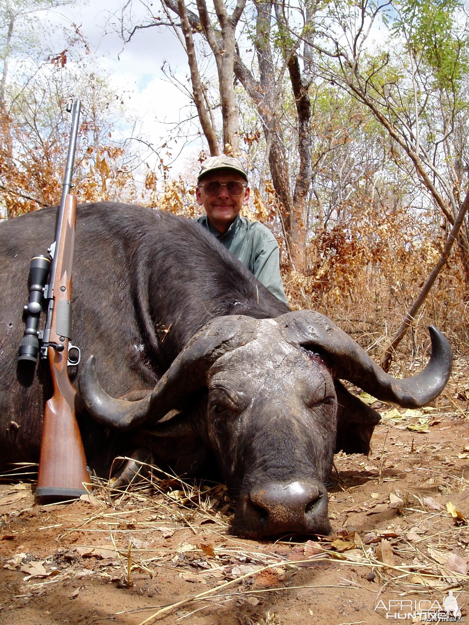 Kilombero Selous 1 Cape Buffalo Tanzania