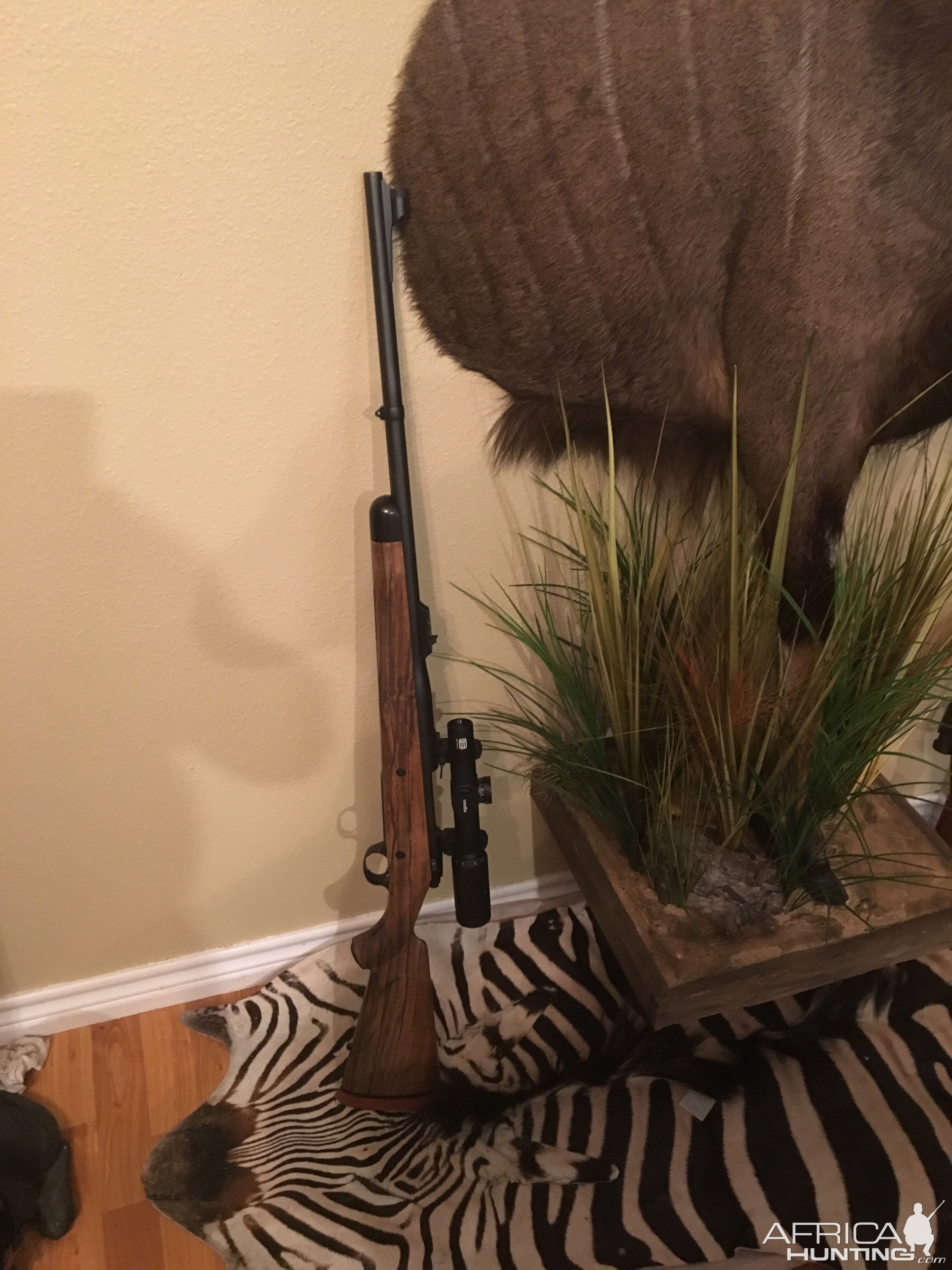 Kimber Caprivi Rifle