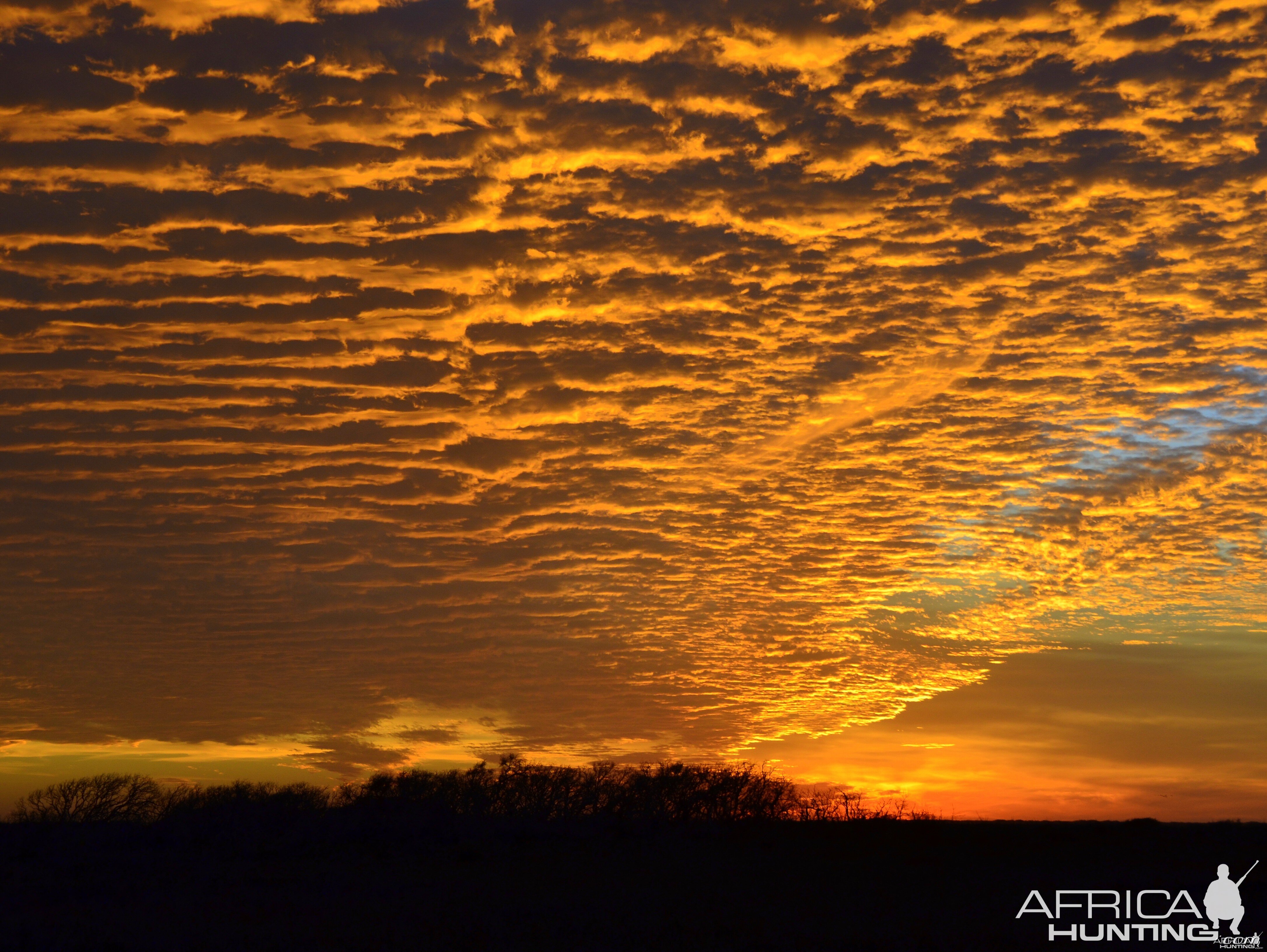 King Ranch Sunset