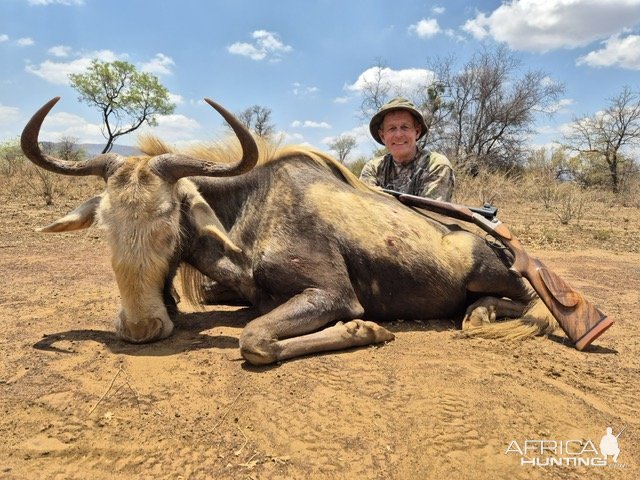 Kings Wildebeest Hunt South Africa