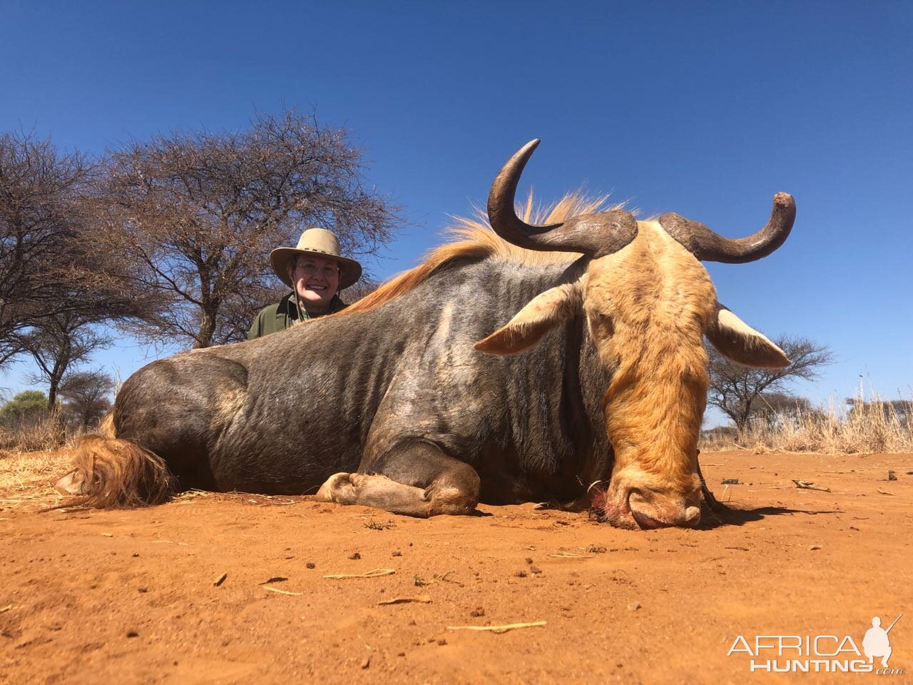 Kings Wildebeest Hunt South Africa