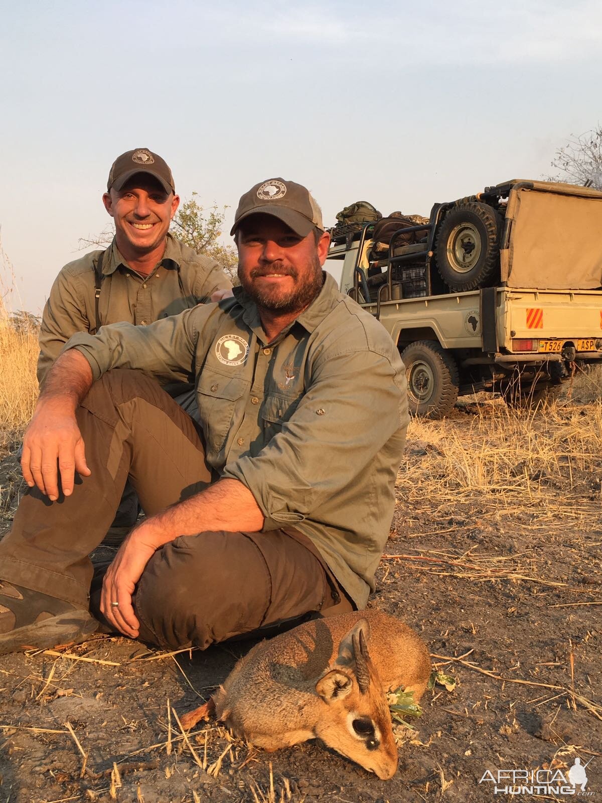 Kirk's Dik-Dik Hunting in Tanzania