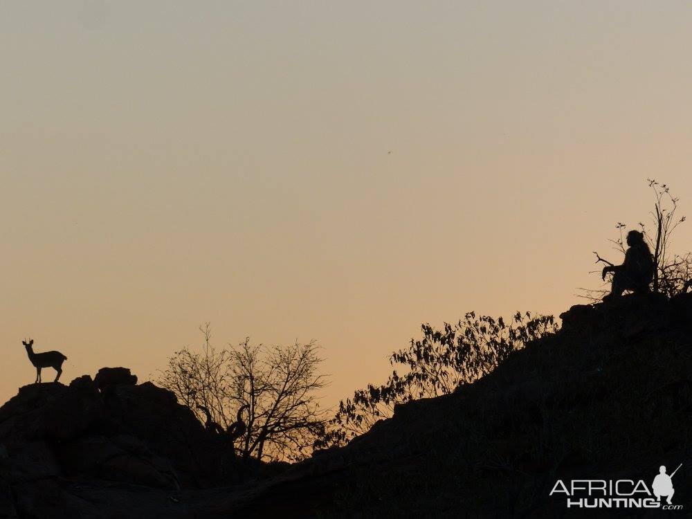 Klipspringer & Baboon on the rocks in the dawn