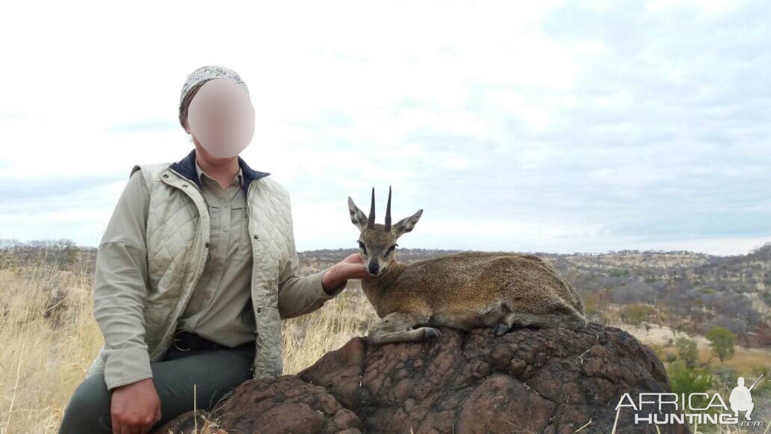 Klipspringer Hunt in Matetsi Area Zimbabwe