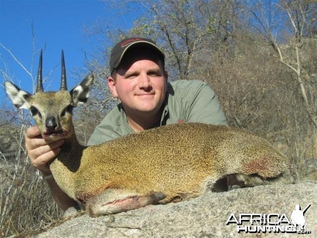 Klipspringer Hunt in Save Valley Conservancy Zimbabwe