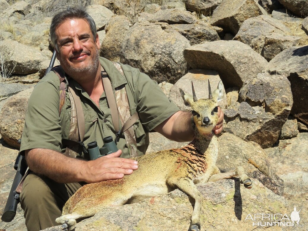 klipspringer Hunt Namibia