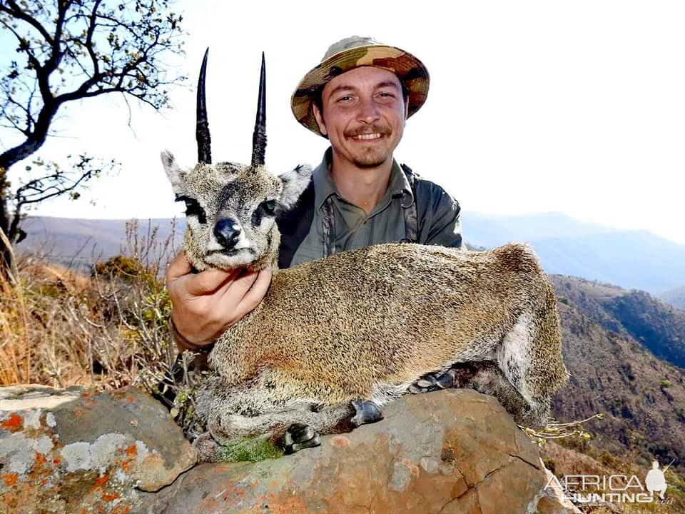 Klipspringer Hunt South Africa