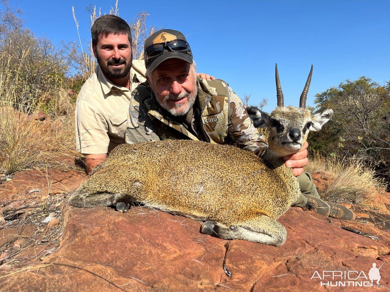 Klipspringer Hunt South Africa