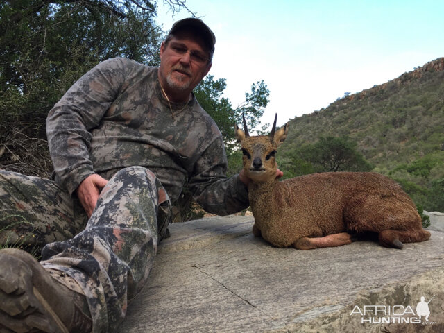 Klipspringer Hunt South Africa