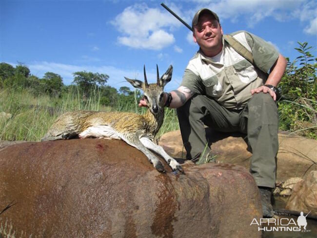 Klipspringer Hunt Zimbabe