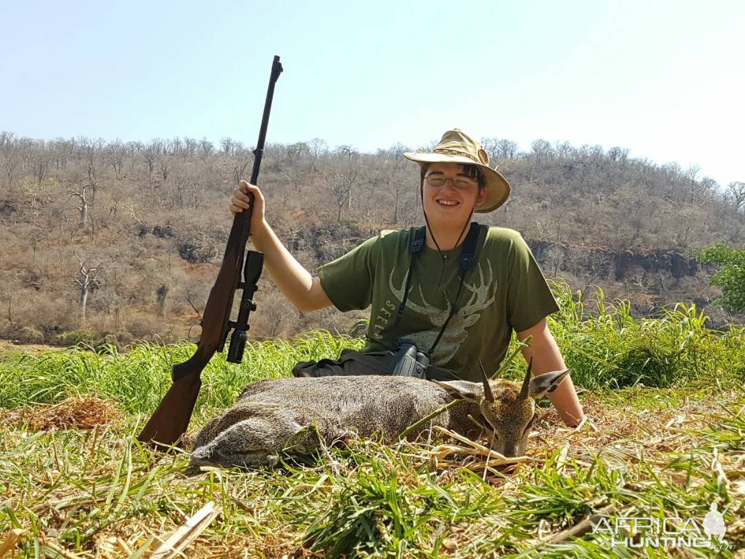 Klipspringer Hunt Zimbabwe