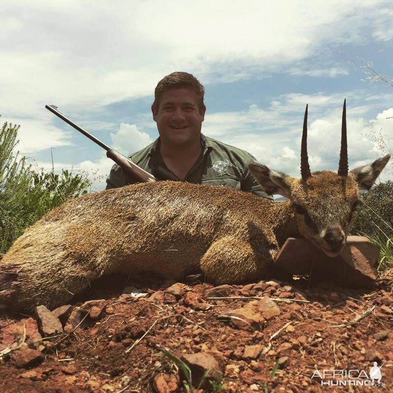 Klipspringer Hunt