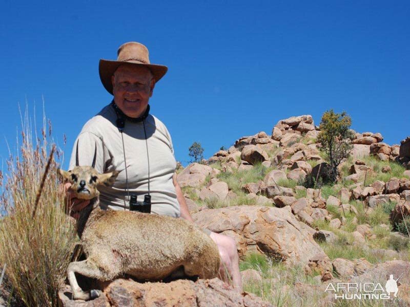 Klipspringer Hunting Namibia