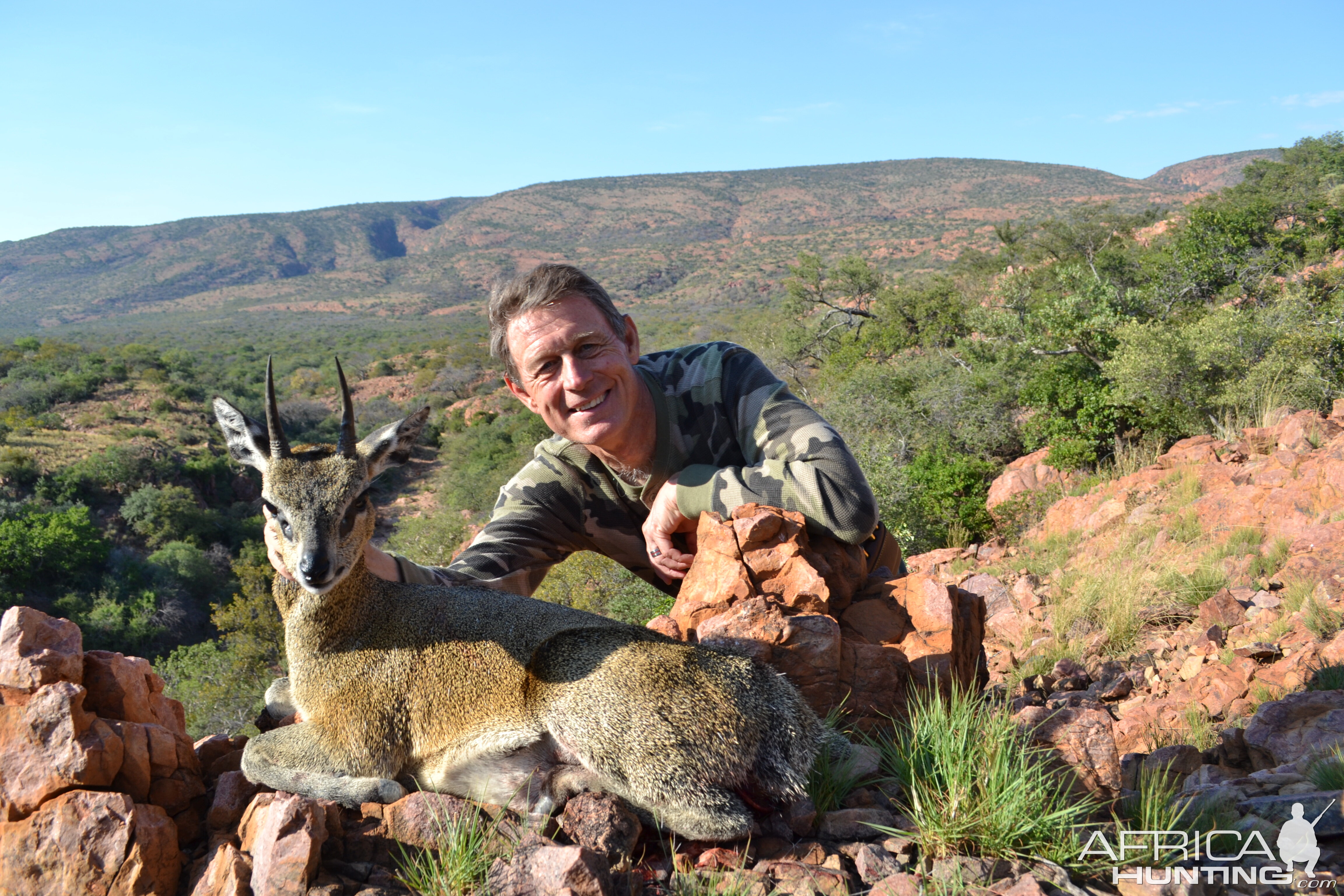 Klipspringer Hunting South Africa