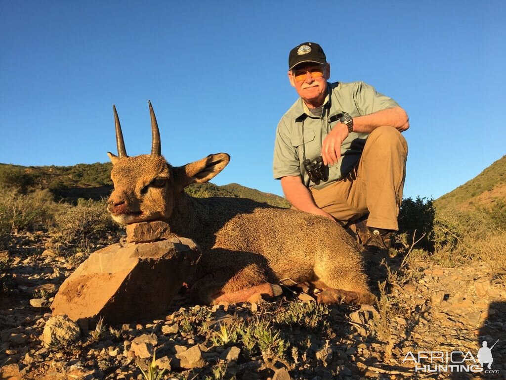 Klipspringer Hunting South Africa