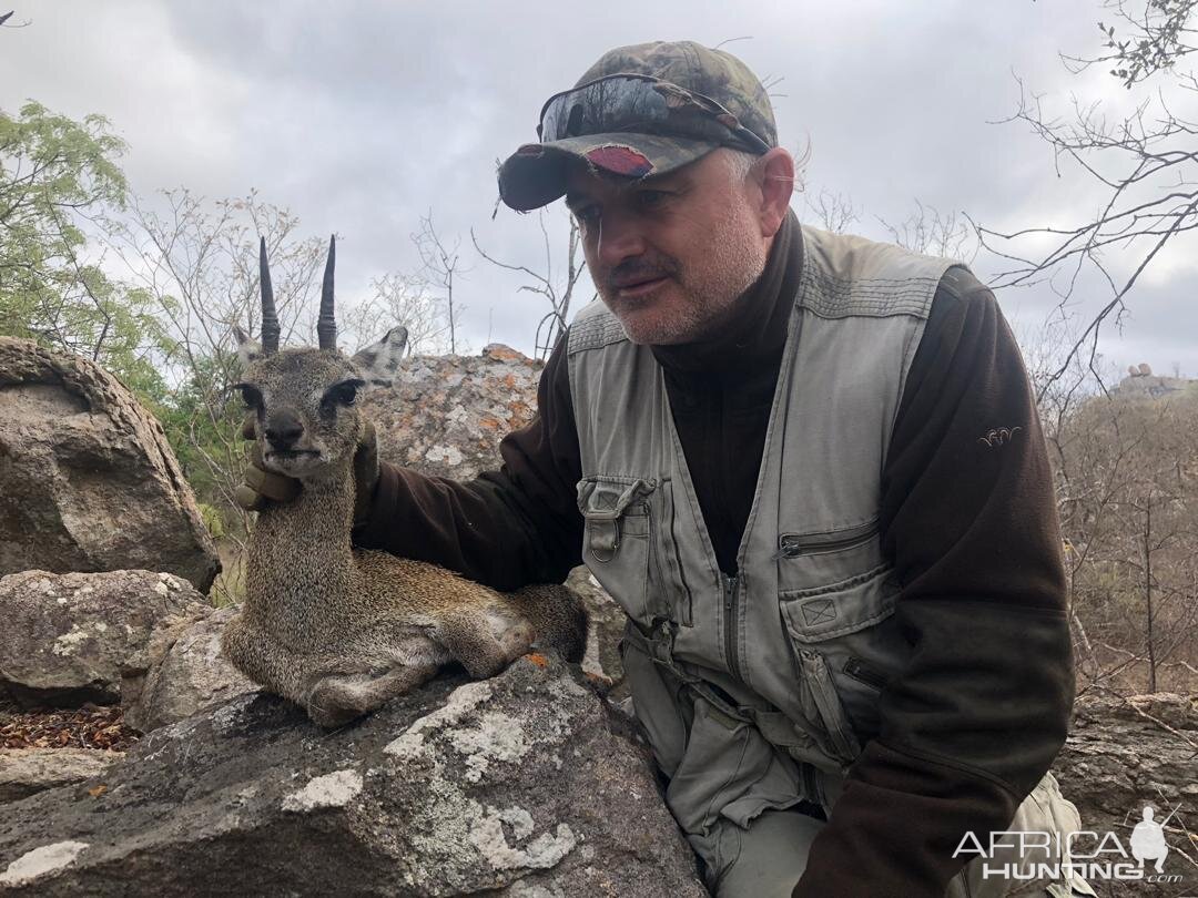 Klipspringer Hunting Zimbabwe