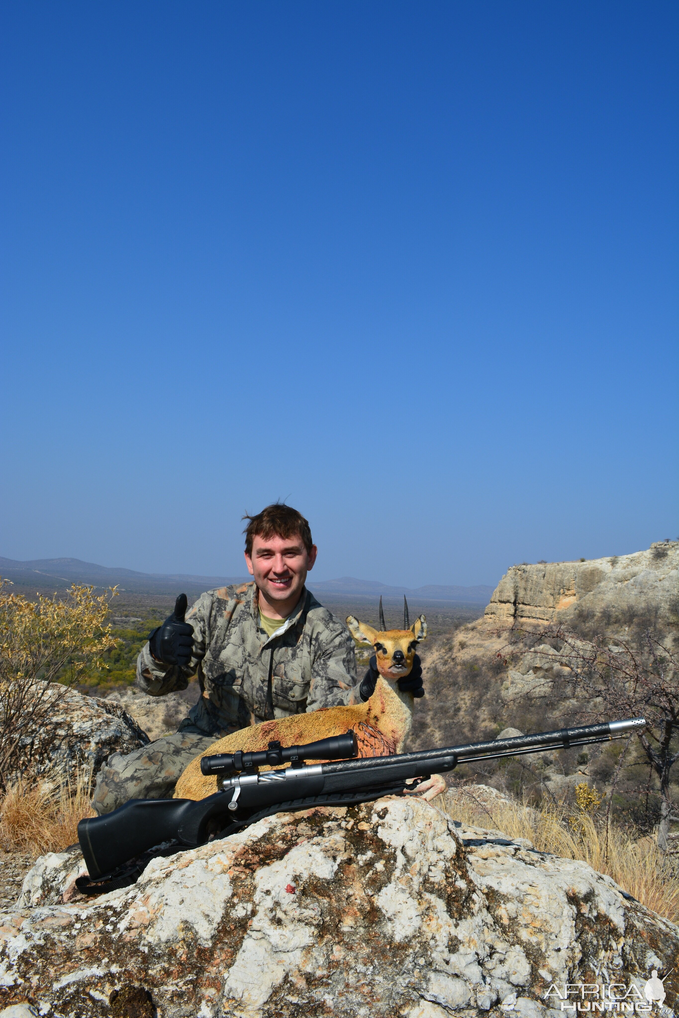 Klipspringer Namibia