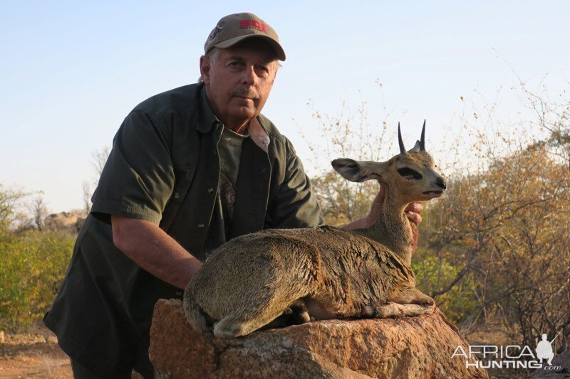 Klipspringer Namibia