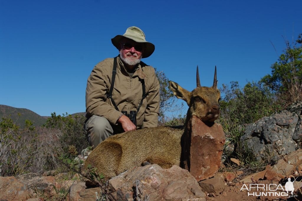 Klipspringer South Africa Hunt