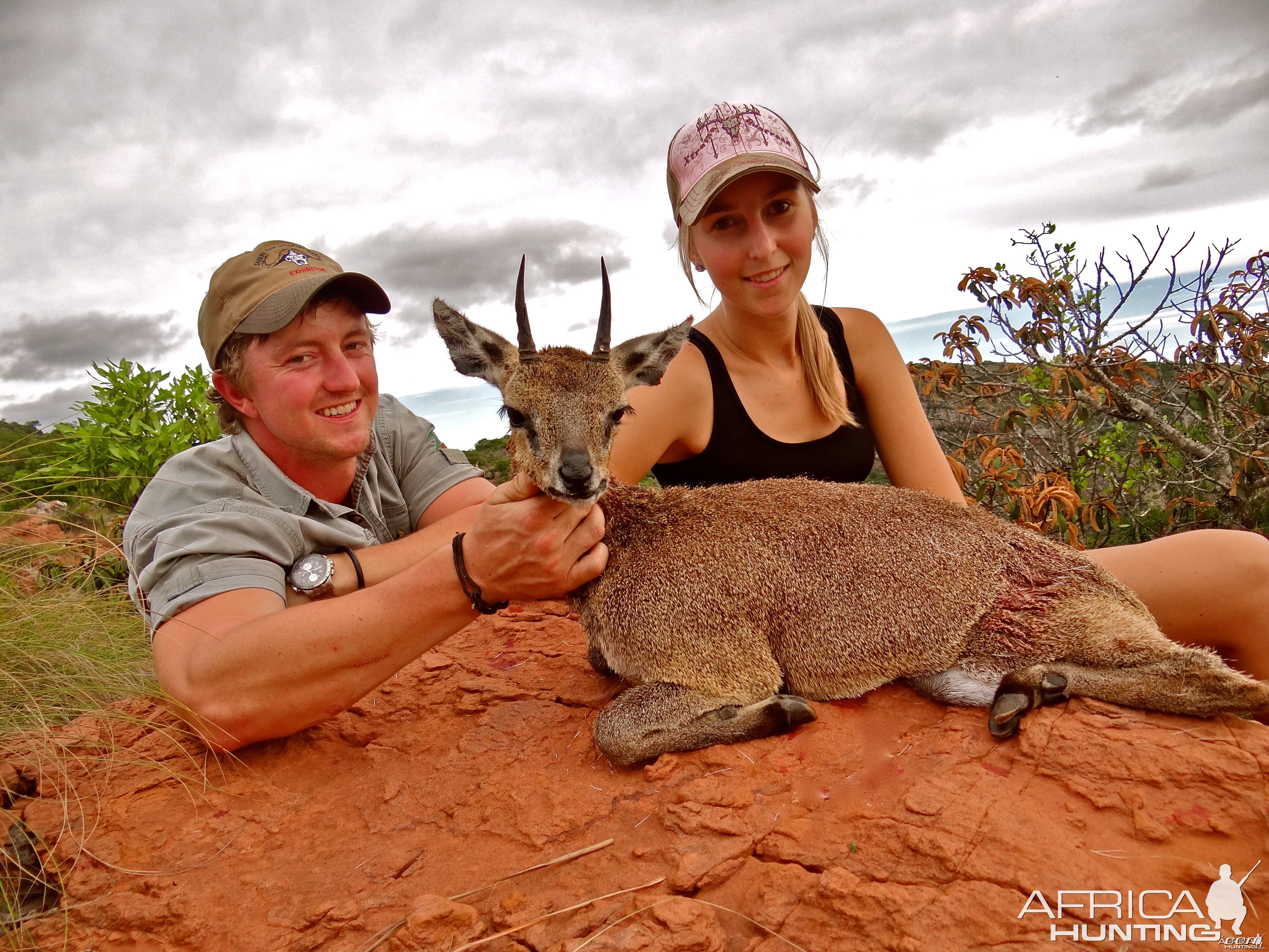 Klipspringer ~ Soutpansberg , RSA