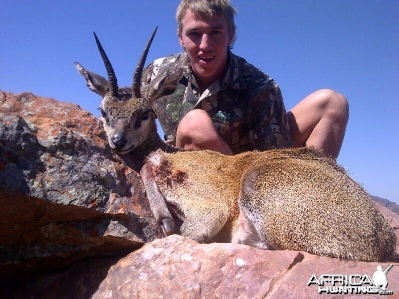 klipspringer ~ Soutpansberg , RSA