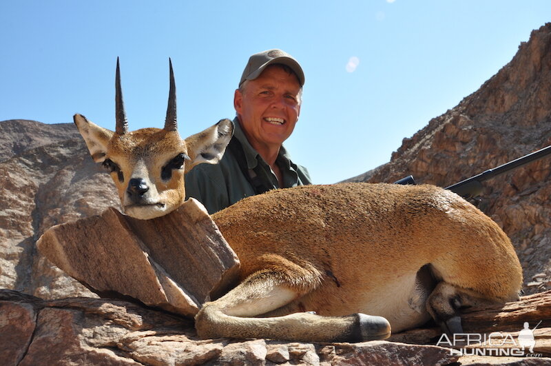 Klipspringer