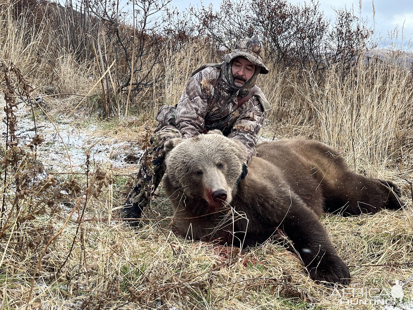 Kodiak Brown Bear Hunt Alaska