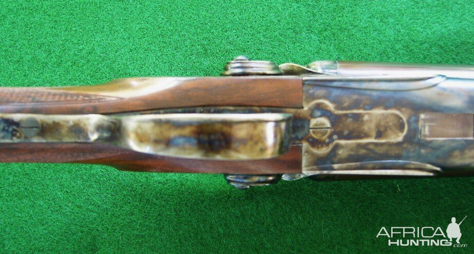 Kodiak Double Rifle in 8 x 57