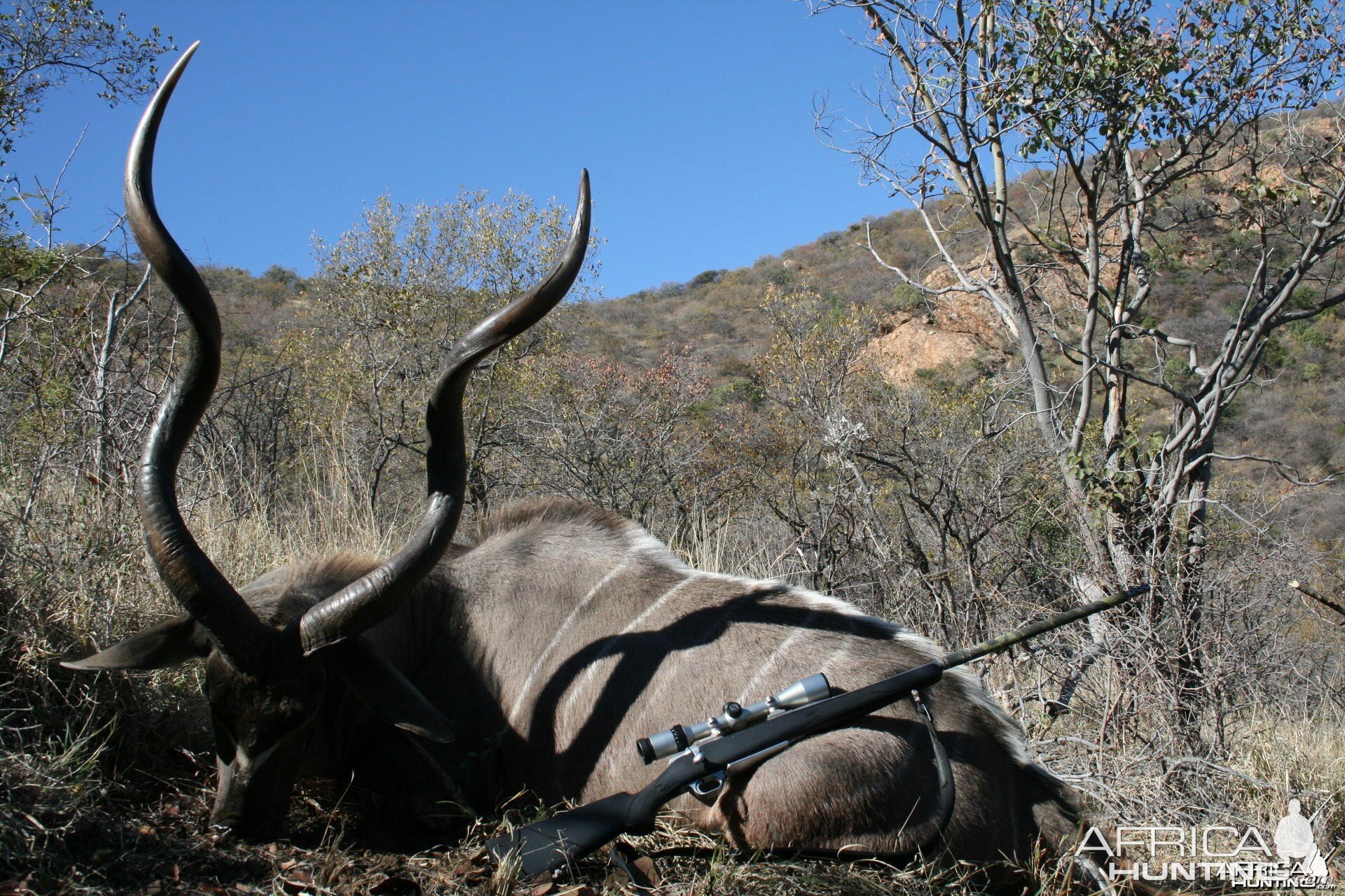 Kudu @ 5000ft looking into Botswana