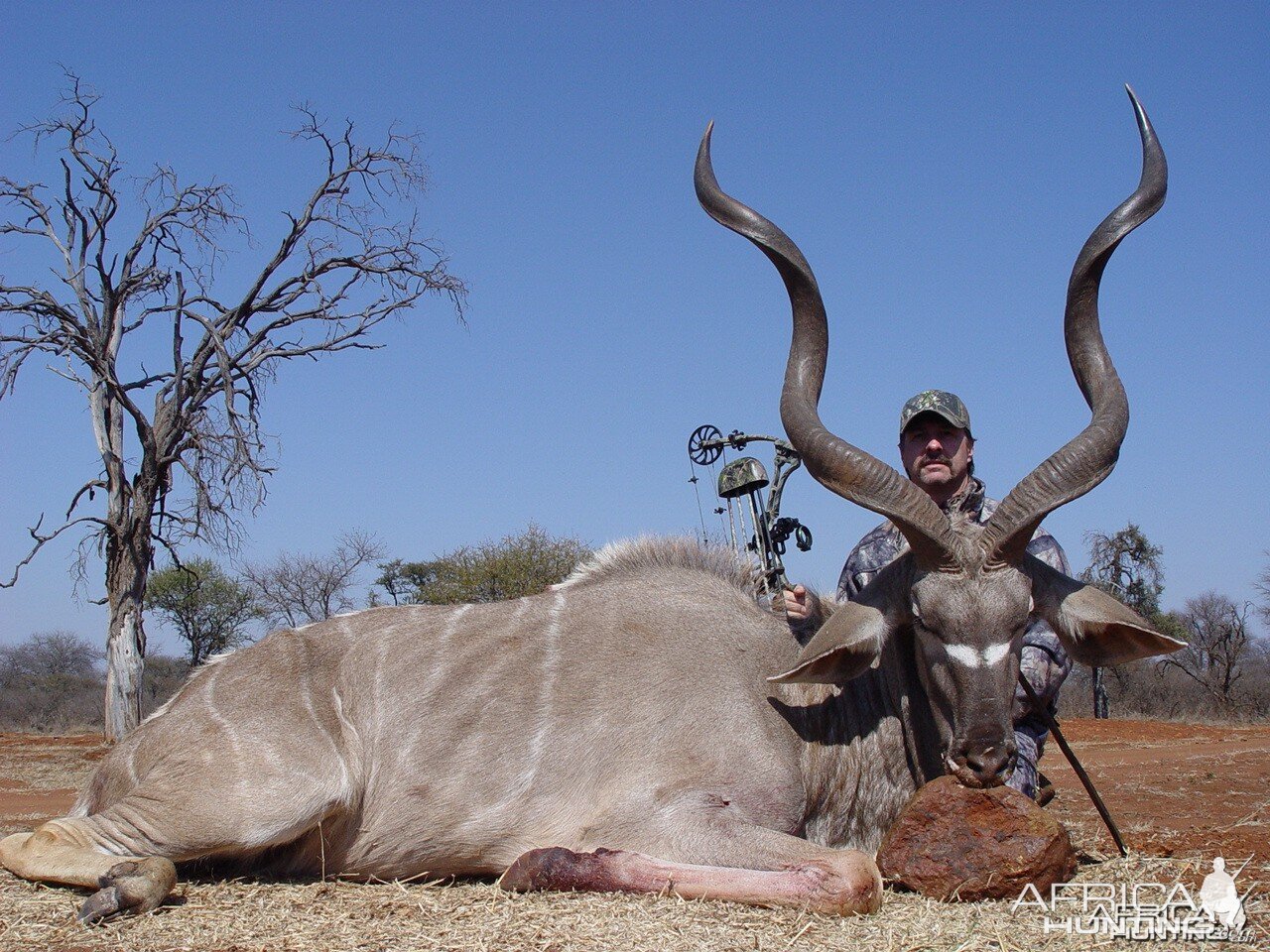 Kudu 52" with Limcroma Safaris 2009