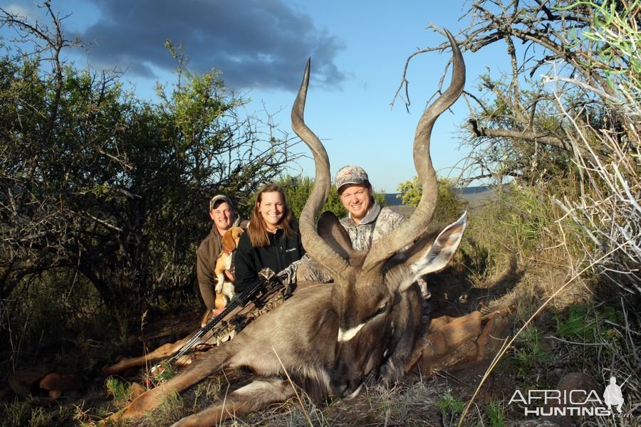 Kudu Bow Hunt Eastern Cape South Africa