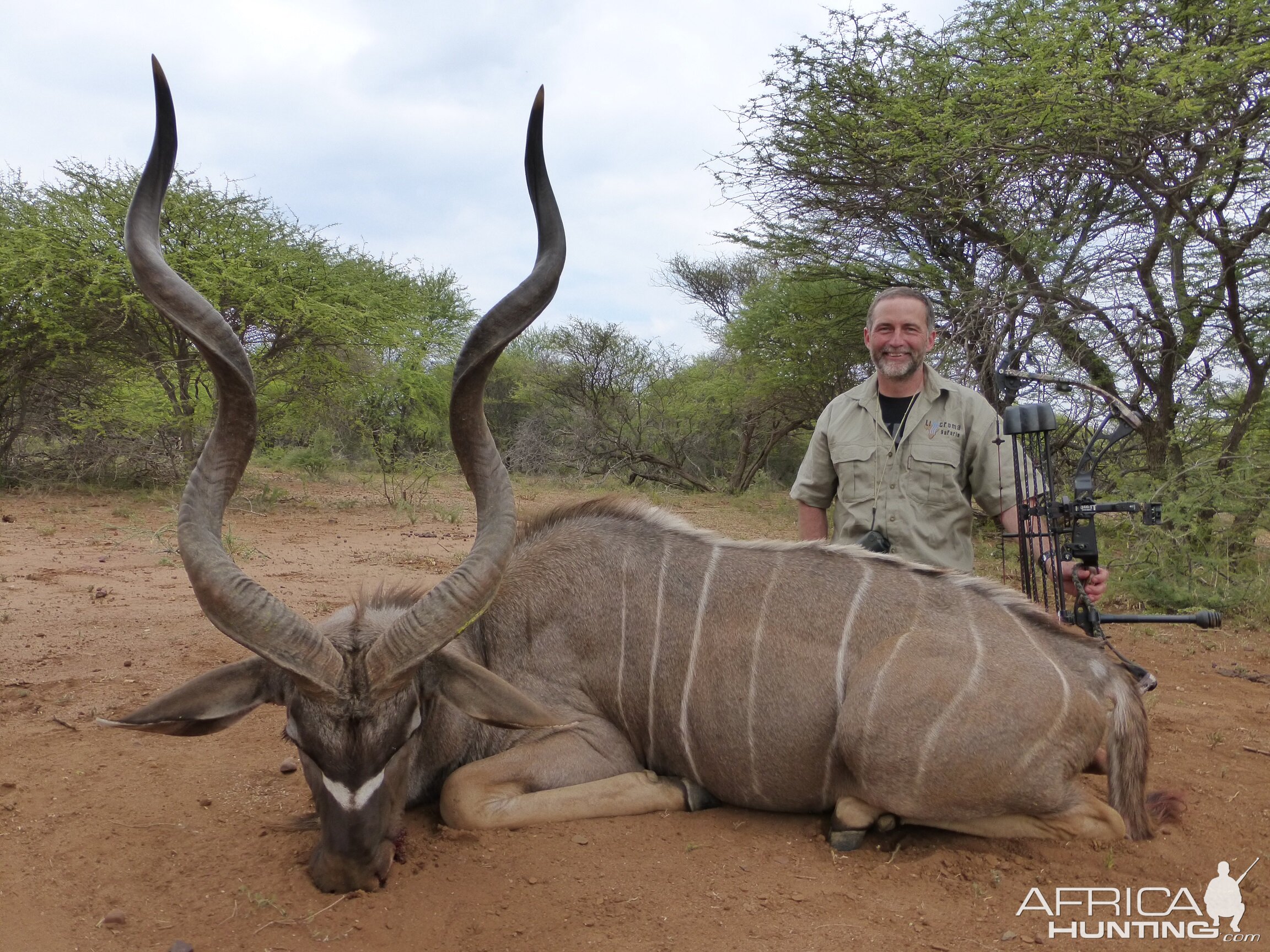 Kudu Bow Hunt in South Africa