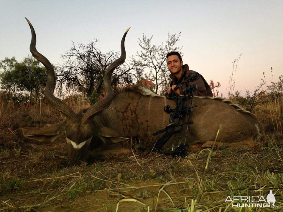 Kudu Bow Hunt in South Africa