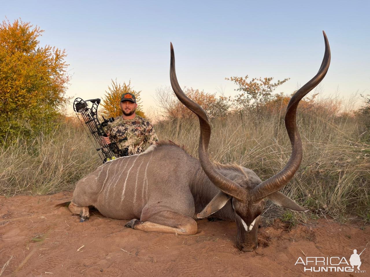 Kudu Bow Hunt South Africa