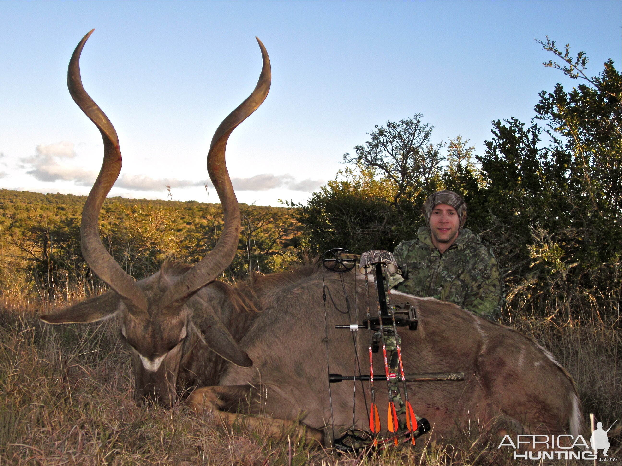 Kudu Bow Hunting