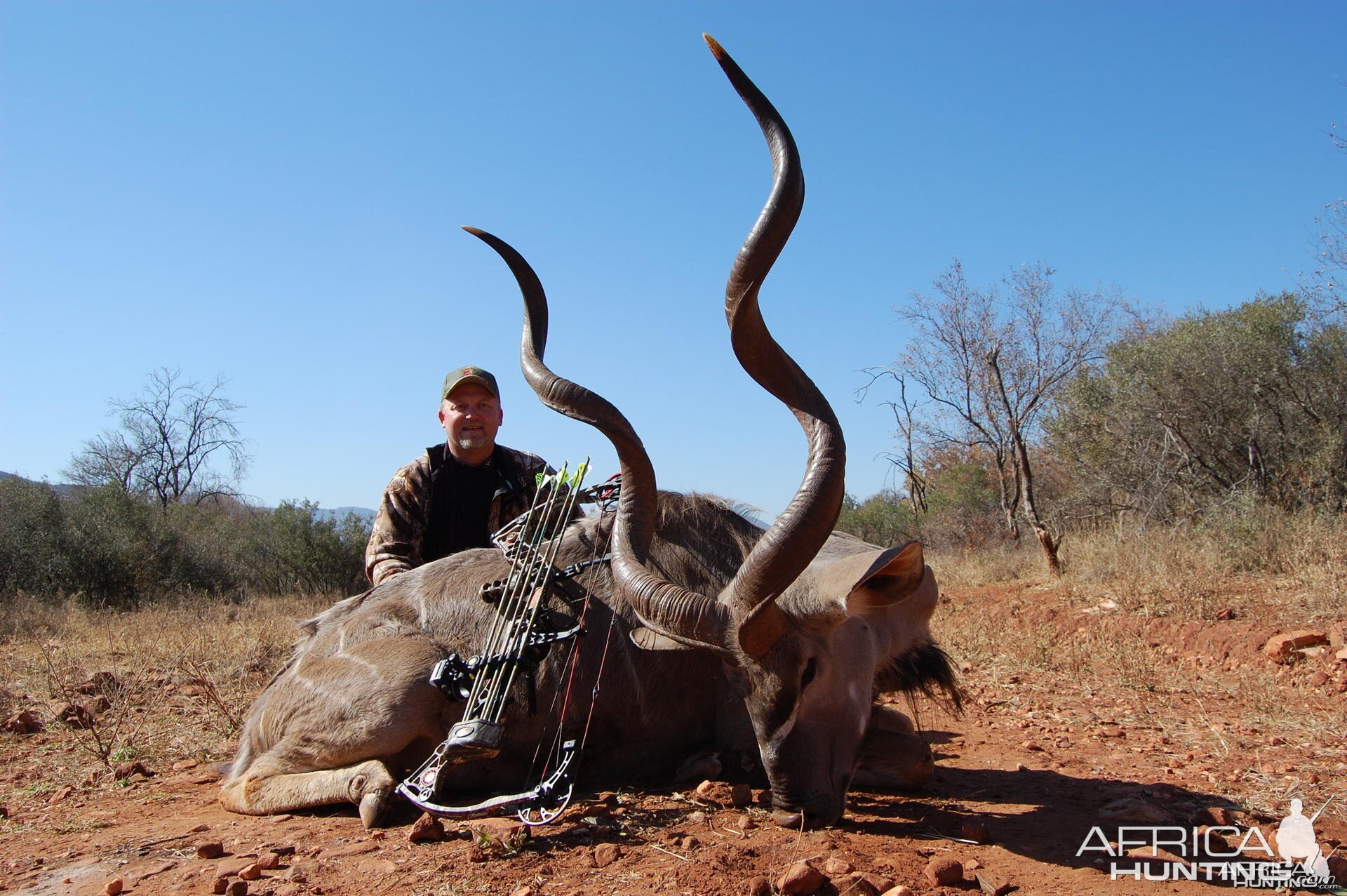 Kudu bowhunt in South Africa