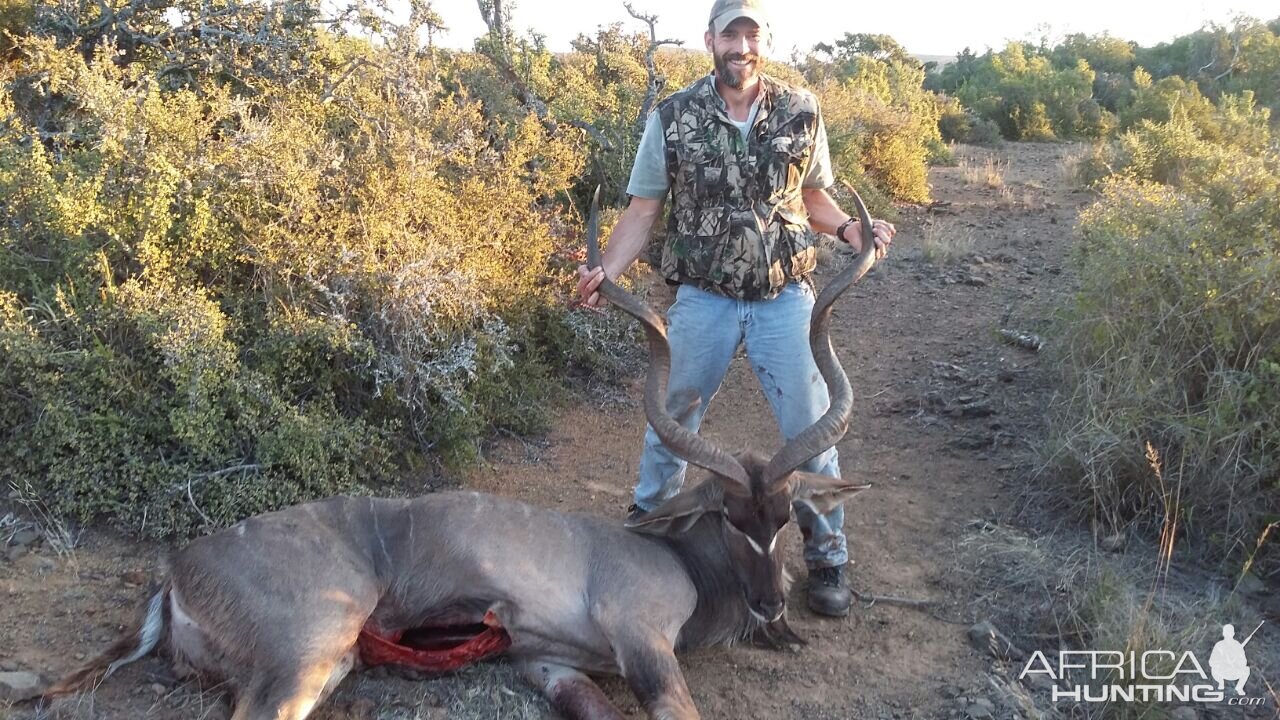 Kudu Bull 52" Eastern Cape