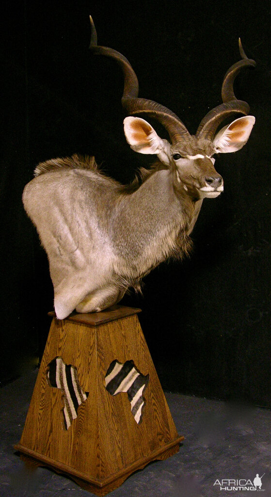 Kudu Classic Pedestal