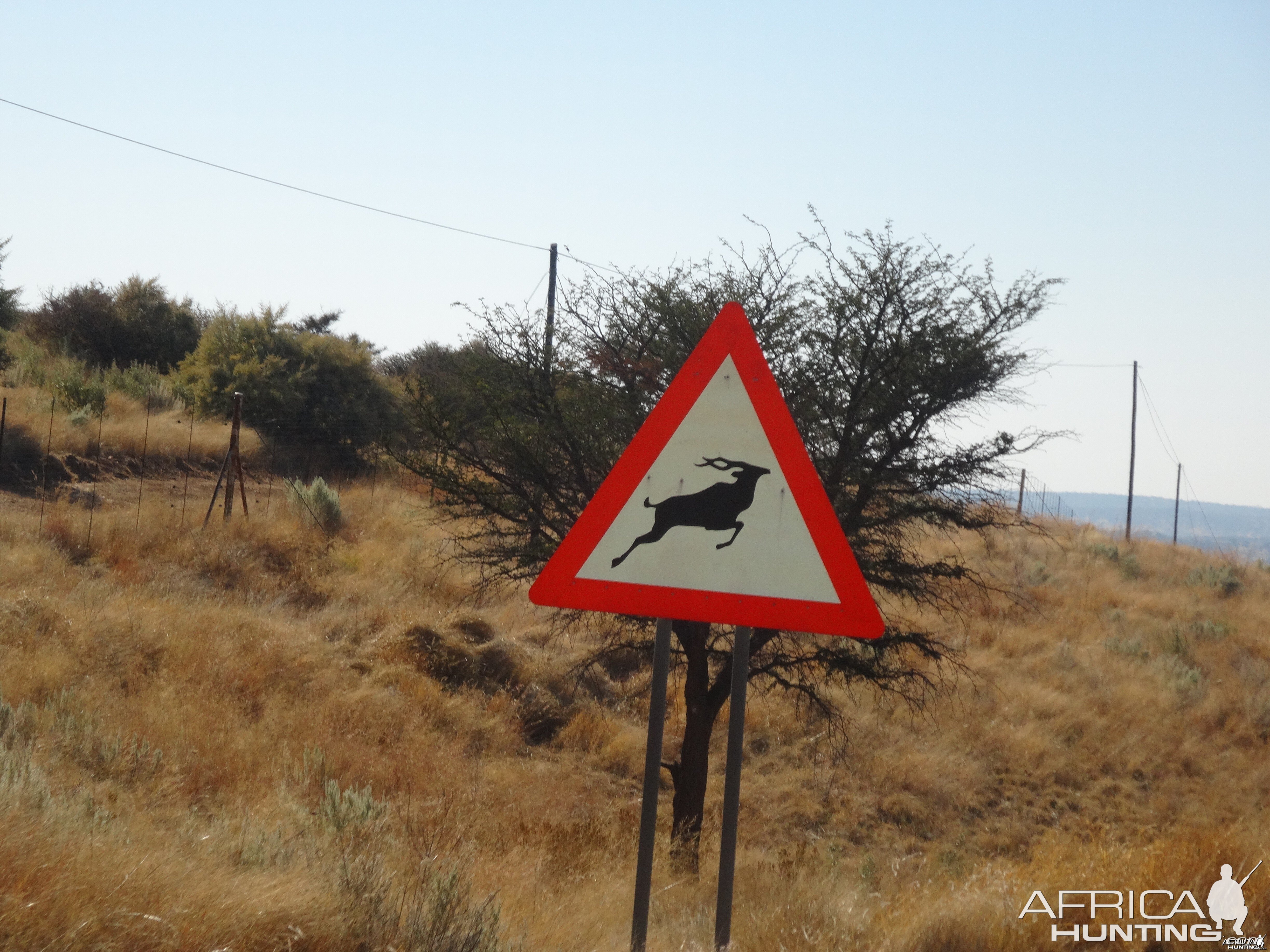 kudu crossing sign