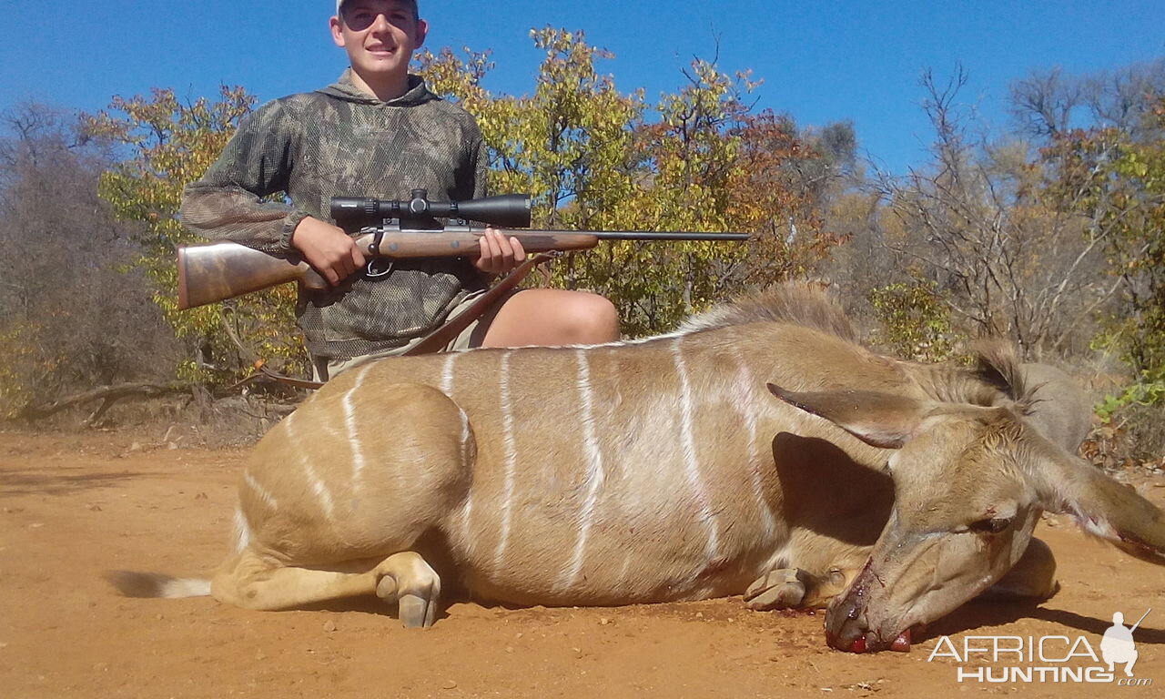 Kudu Cull Hunt in South Africa