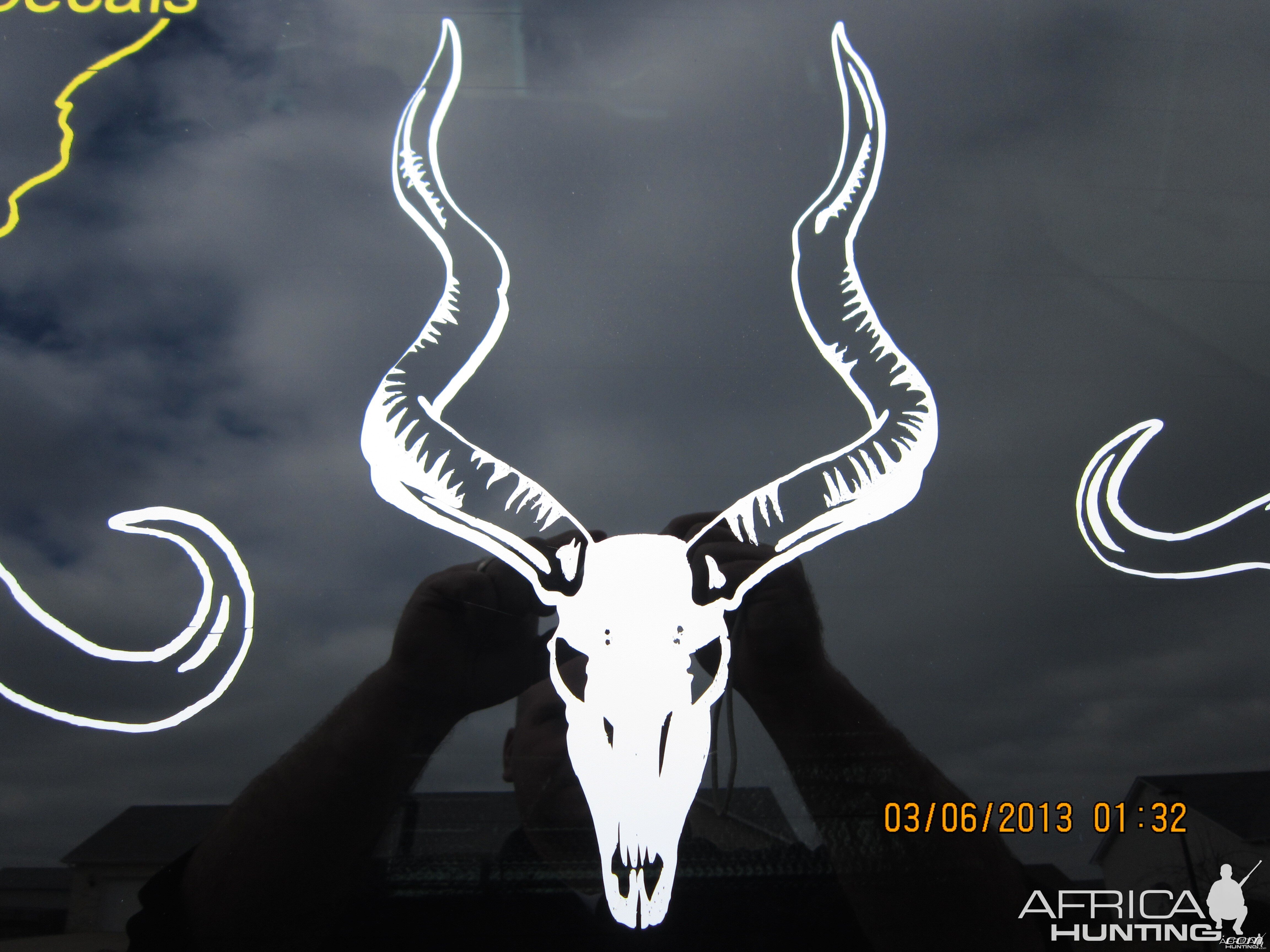 Kudu Decal Stickers