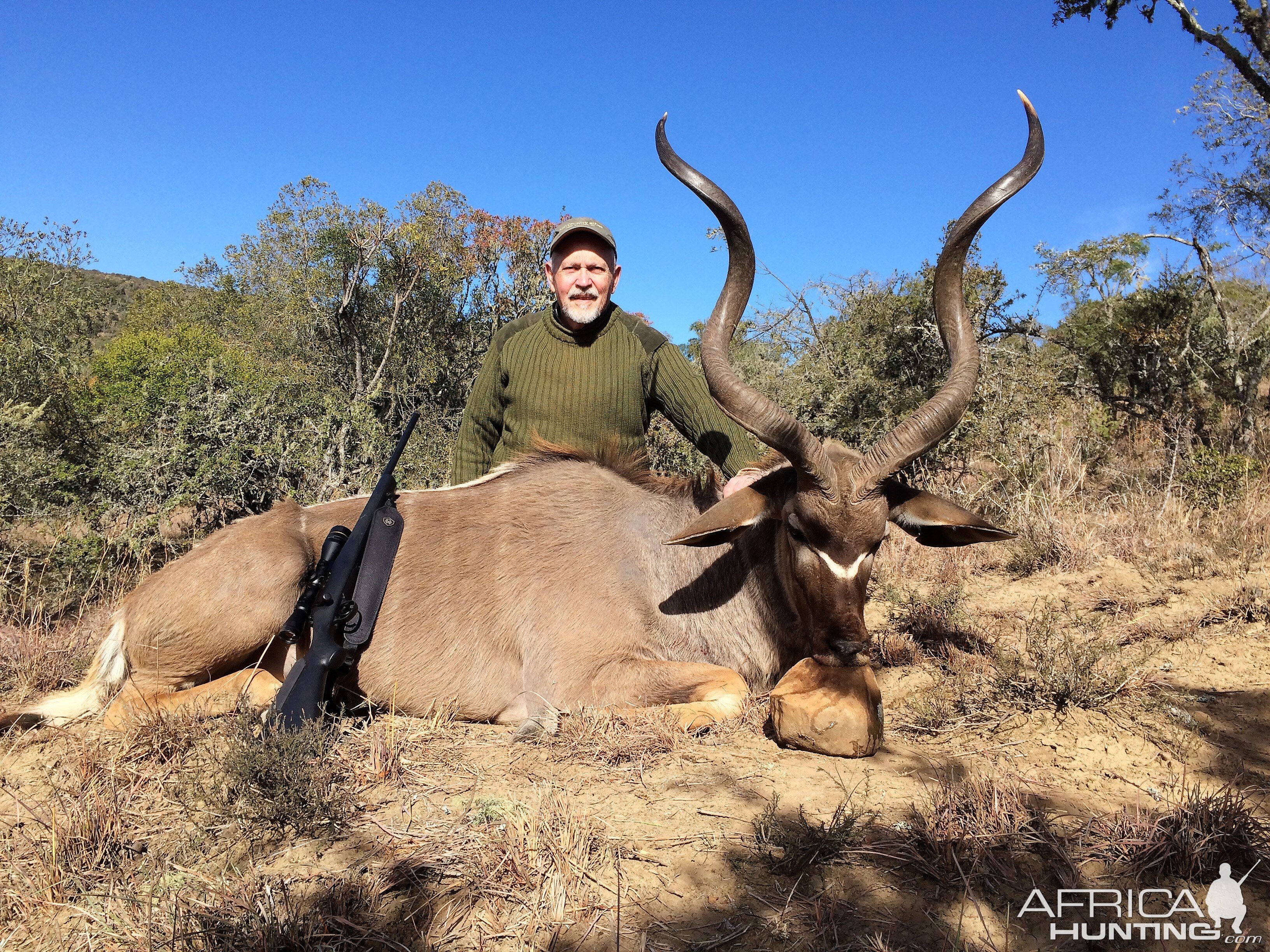 Kudu, Eastern Cape South Africa  July 2017