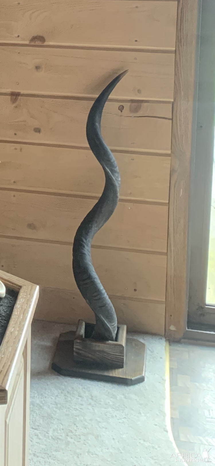 Kudu Horn Pedestal Mount