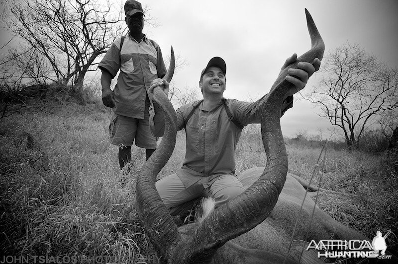 kudu, horns