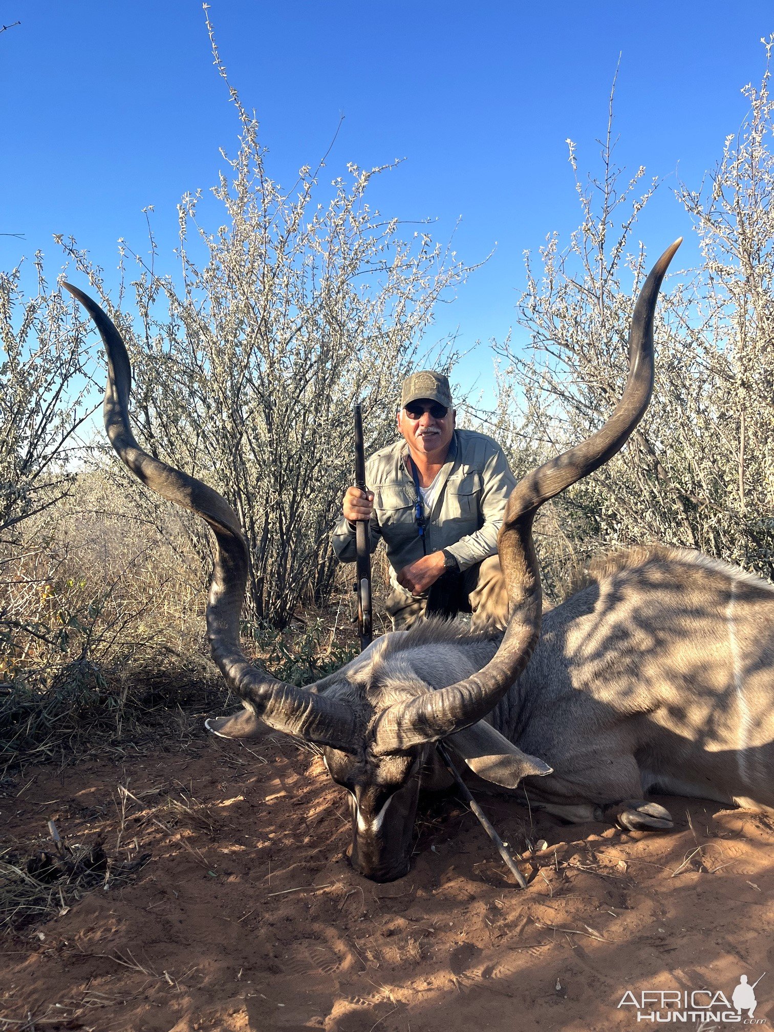 Kudu Hunt Botswana